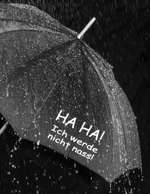 Regenschirm "Ich werd nicht nass"