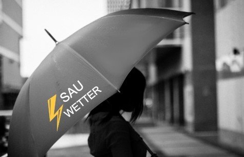 Regenschirm "Sauwetter"